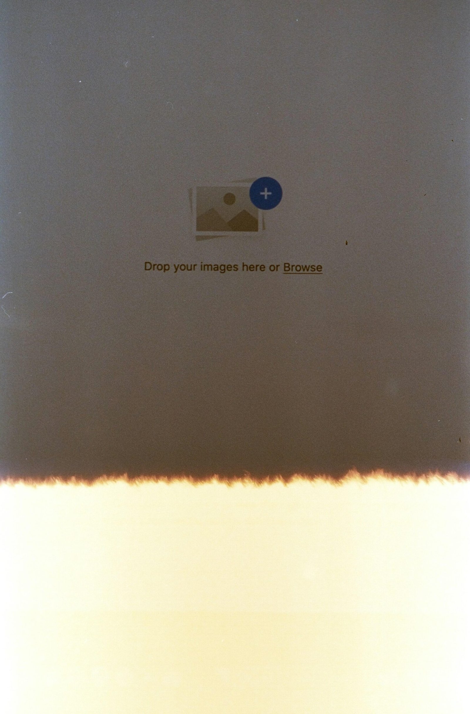 Retrato profesional de un miembro del equipo.